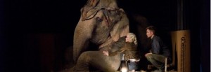 Review! Water for Elephants